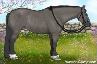 Horse Color:Grullo Rabicano 