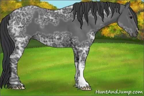 Horse Color:Black Ice 