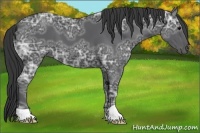 Horse Color:Black Ice 