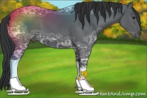 Horse Color:Black Ice