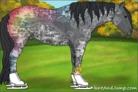 Horse Color:Black Ice 