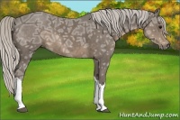 Horse Color:Silver Smoky Black Ice