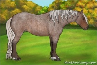 Horse Color:Silver Brown Roan
