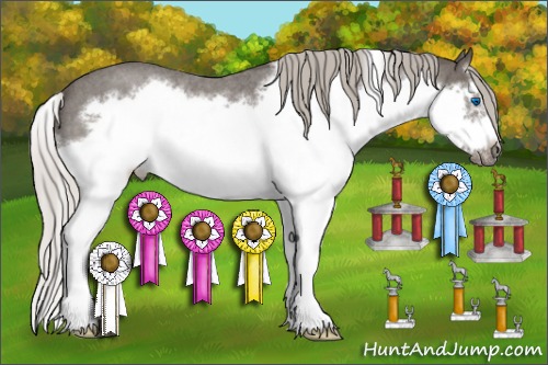 Horse Color:Silver Blue Roan Splash Frame 
