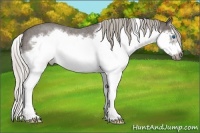 Horse Color:Silver Blue Roan Splash Frame 