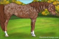 Horse Color:Chestnut Ice 