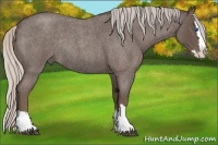 Horse Color:Silver Blue Roan Splash Rabicano 