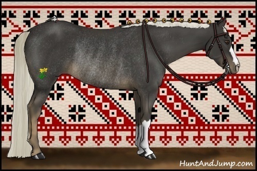 Horse Color:Liver Chestnut Rabicano