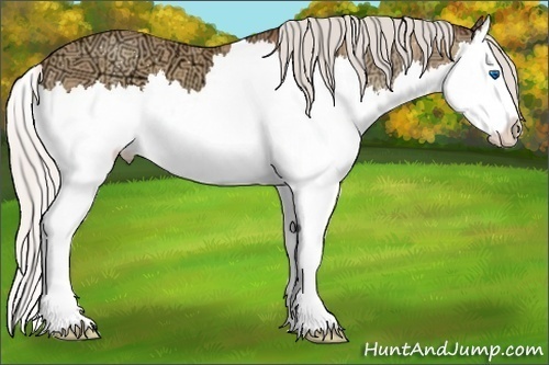 Horse Color:Silver Amber Champagne Ice Sabino Splash 