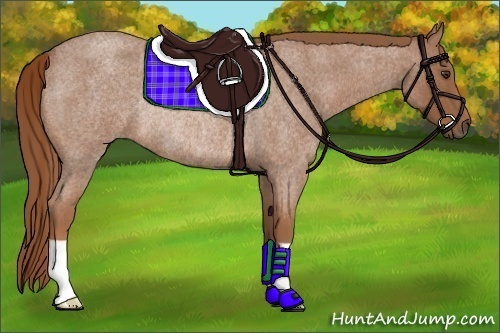 Horse Color:Red Roan Rabicano 