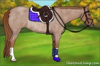 Horse Color:Red Roan Rabicano 