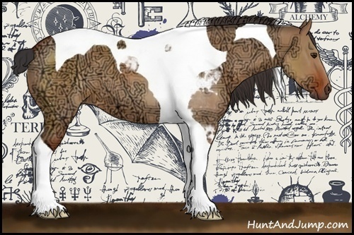 Horse Color:Bay Ice Dun Tobiano 