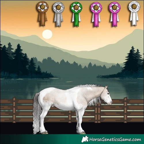 Horse Color:White Spotted Bay Dun Tobiano 
