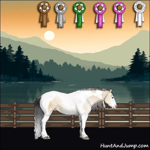 Horse Color:White Spotted Bay Dun Tobiano 