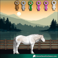 Horse Color:White Spotted Bay Dun Tobiano