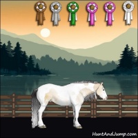 Horse Color:White Spotted Bay Dun Tobiano