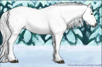 Horse Color:Gray Chestnut 