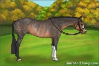 Horse Color:Buckskin Rabicano 