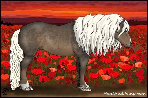 Horse Color:Liver Chestnut Sabino Rabicano