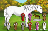 Horse Color:Gray Brown 