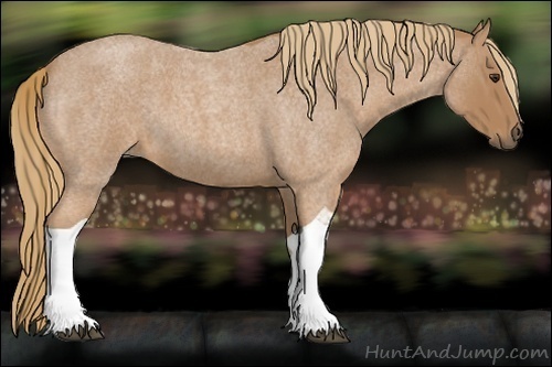 Horse Color:Red Roan Tobiano