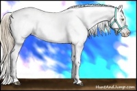 Horse Color:White Spotted Liver Chestnut Pearl Snowflake Varnish