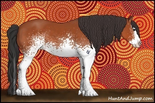 Horse Color:White Spotted Bay Splash 