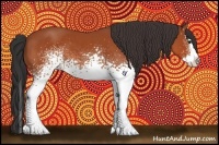 Horse Color:White Spotted Bay Splash 