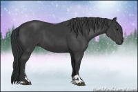 Horse Color:Black Sabino