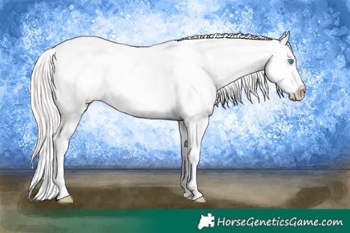 Horse Color:Silver Smoky Black Pearl Appaloosa 