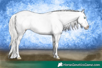 Horse Color:Silver Smoky Black Pearl Blanket 