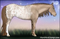 Horse Color:Liver Chestnut Ice Pearl Rabicano 