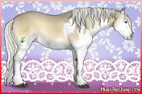 Horse Color:Silver Smoky Blue Onyx Splash