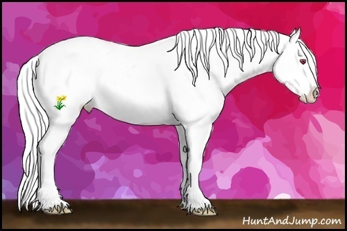 Horse Color:White Spotted Silver Black Chinchilla Splash Varnish