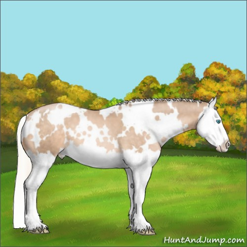 Horse Color:White Spotted Chocolate Palomino Pearl Splash