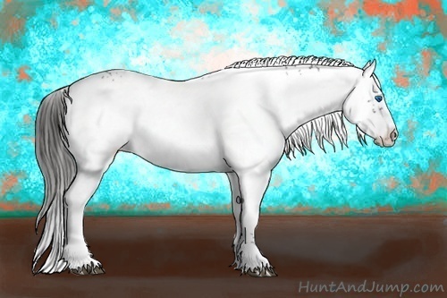 Horse Color:Liver Chestnut Frame 
