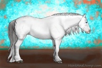 Horse Color:Liver Chestnut Frame 