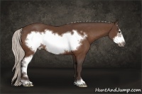 Horse Color:Silver Bay Sabino Frame 