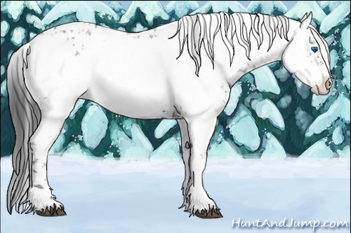 Horse Color:Black Frame 