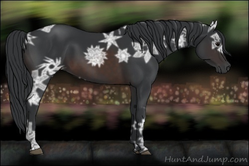 Horse Color:Brown Ice 