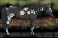 Horse Color:Brown Ice 