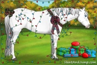 Horse Color:Black Frame 