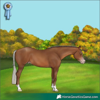 Horse Color:Gray Silver Amber Champagne 