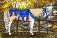 Horse Color:Palomino Dun Sabino Splash 