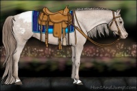 Horse Color:Black Pearl Appaloosa