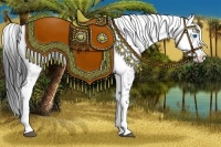 Horse Color:Black Frame 