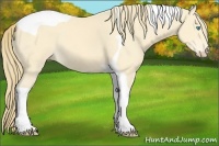 Horse Color:Perlino Tobiano 