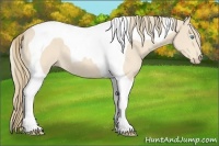 Horse Color:Perlino Tobiano 