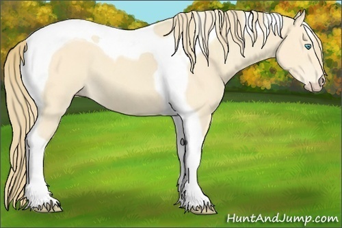 Horse Color:Perlino Tobiano 