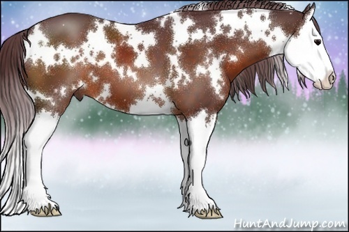 Horse Color:White Spotted Chocolate Bay Splash